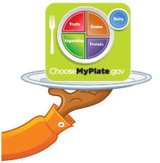 nutrition plate graphic