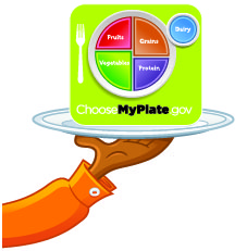 nutrition plate graphic